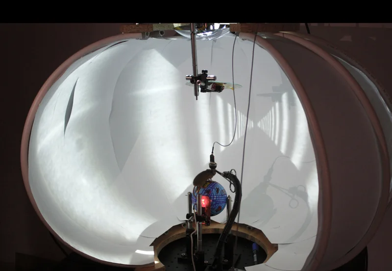 A mouse navigates along a virtual track while the Open Ephys system records from tetrodes implanted in the striatum and cortex.
