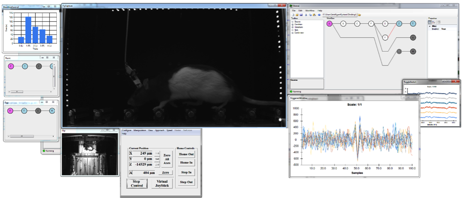 Bonsai — Open Ephys