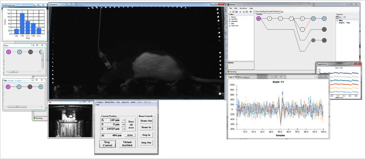 Bonsai — Open Ephys