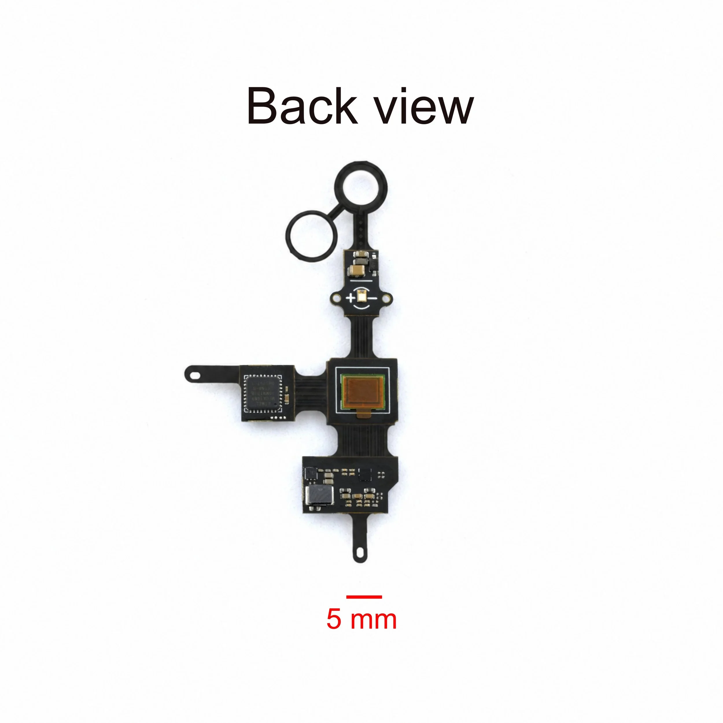 OEPS-7412 Miniscope v4.4 Electronics (backview).jpg