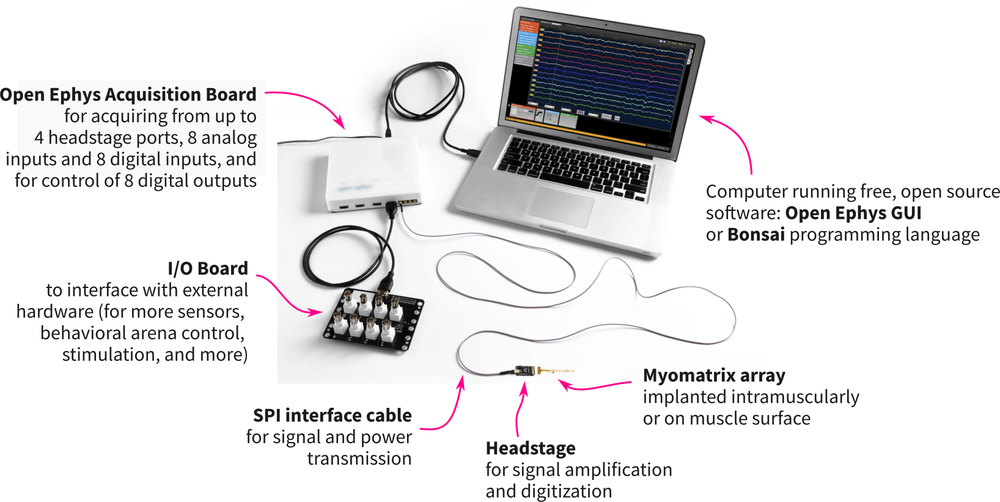 Blog — Open Ephys