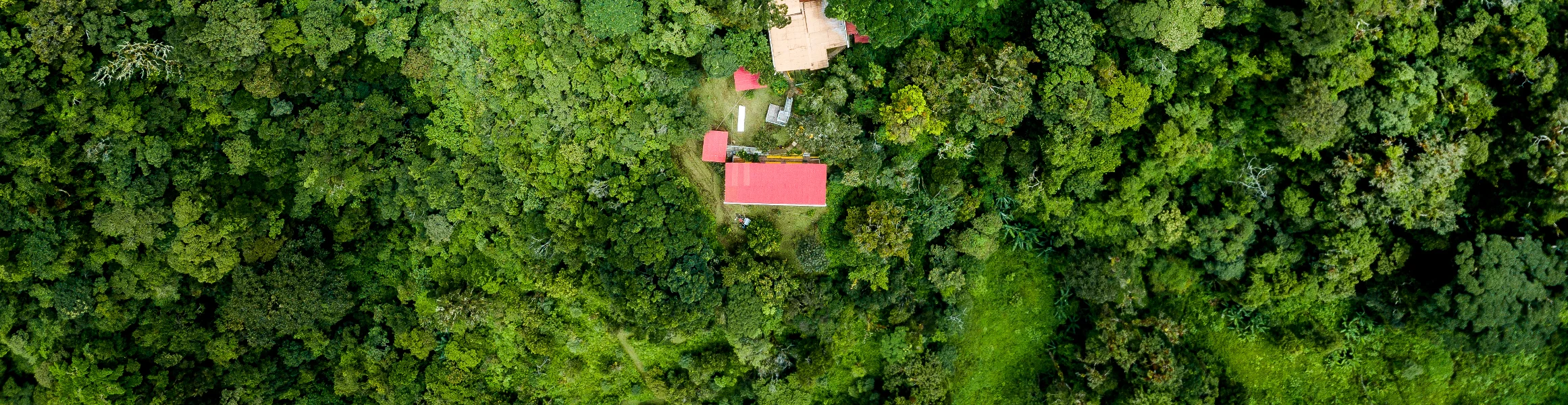 The Lost and Found Hostel-0003 (wide 3).jpg