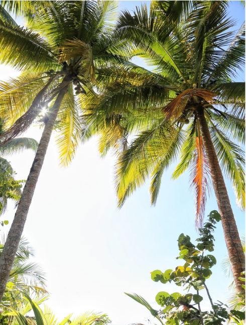 Top 10 Adventurous Things To Do in Panama