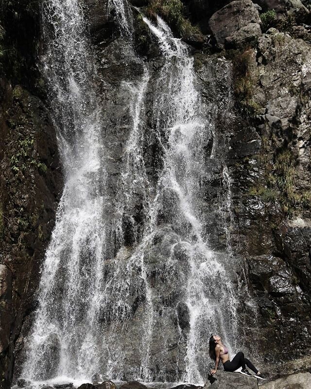 The Wild🌺
.
.
.
.
.
.
.
.
.
.
#explore
#hiking
#view
#mountains
#outdoors 
#wilderness 
#freedom 
#natural
#nature
#wild
#hostel
#panama
#rainforest
#jungle
#scenery
#landscape
#waterfal
#lostandfoundhostel
📷 @andrewlostandfound
🦋 @hellen1494