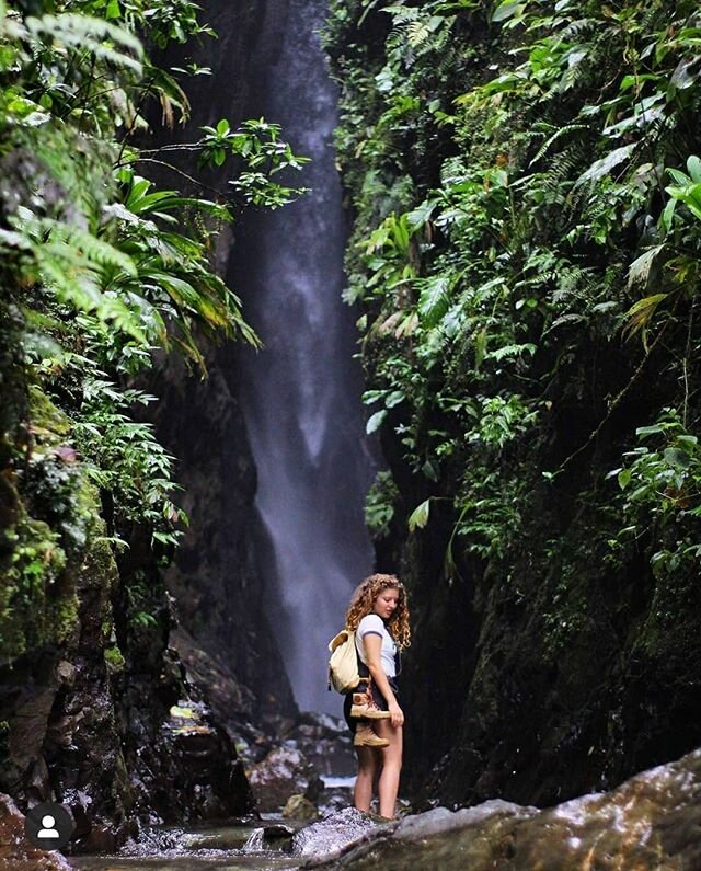 Adventures - Made in Panama🔆
.
.
.
.
.
.
.
.
#waterfall 
#adventure
#wanderlust
#outdoors
#freedom
#nature
#wild
#wilderness
#rainforest
#paradise
#panama
#507
#hiking
#lostandfoundhostel
🧘🏼&zwj;♀️@caroaybar3000 📷 @hiddennviewss
🐒🦋📷 @andrewlos