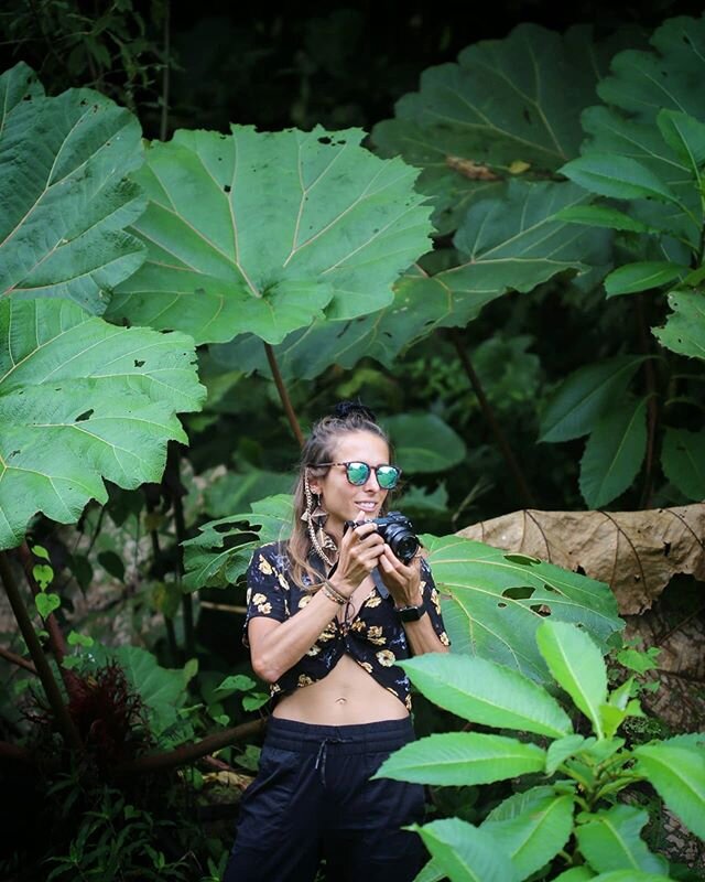 A Retreat From it All🌿
.
.
.
.
.
.
.
#lostandfoundhostel
#photography 
#nature
#beautiful 
#wanderlust
#outdoors 
#paradise
#monkey
#wilderness
#wildlife
#hiking
#jungle
#panama
#scenery
📷 @andrewlostandfound 🧞&zwj;♀️ @laurar_photography