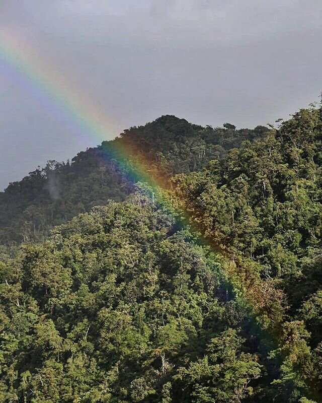 Making the Best of It 🌺
Stay Safe
.
.
.
.
.
.
.
#rainbow
#jungle
#wild 
#wilderness 
#landscape 
#scenery
#flowers
#freedom 
#beautiful
#outdoors
#beautiful
#natural
#health
#paradise
#panama
#lostandfoundhostel
.
.
.
.
📷 @andrewlostandfound
🌸 @ar