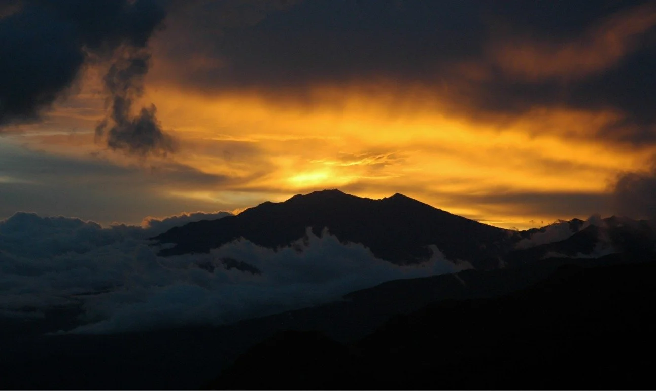 WhatsApp Image 2024-07-13 at 16.15.31.jpeg