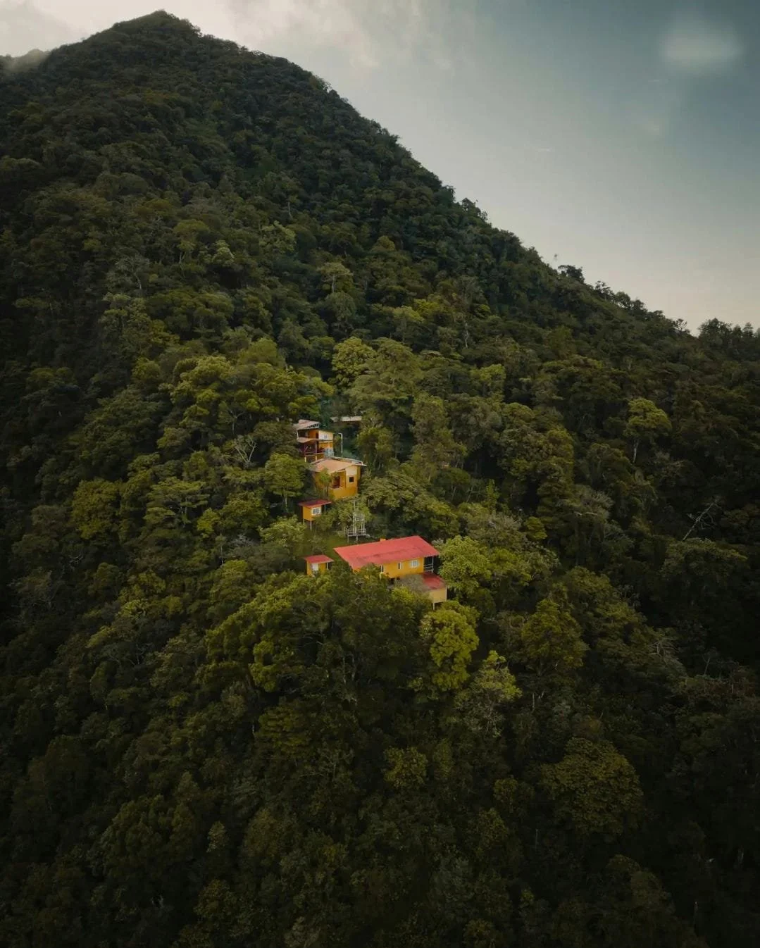 WhatsApp Image 2024-07-13 at 17.13.45.jpeg