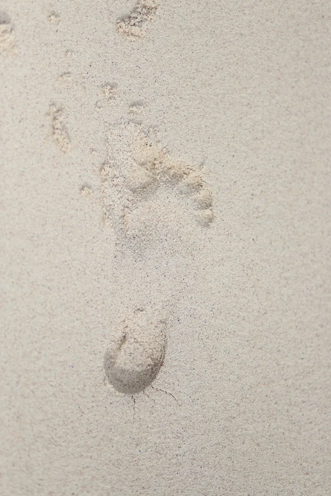 Bocas Island Hopping