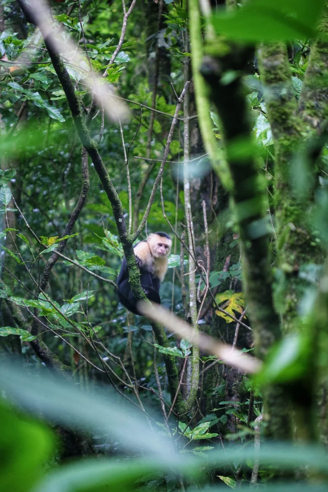 Using AI to Backpack Around Central America