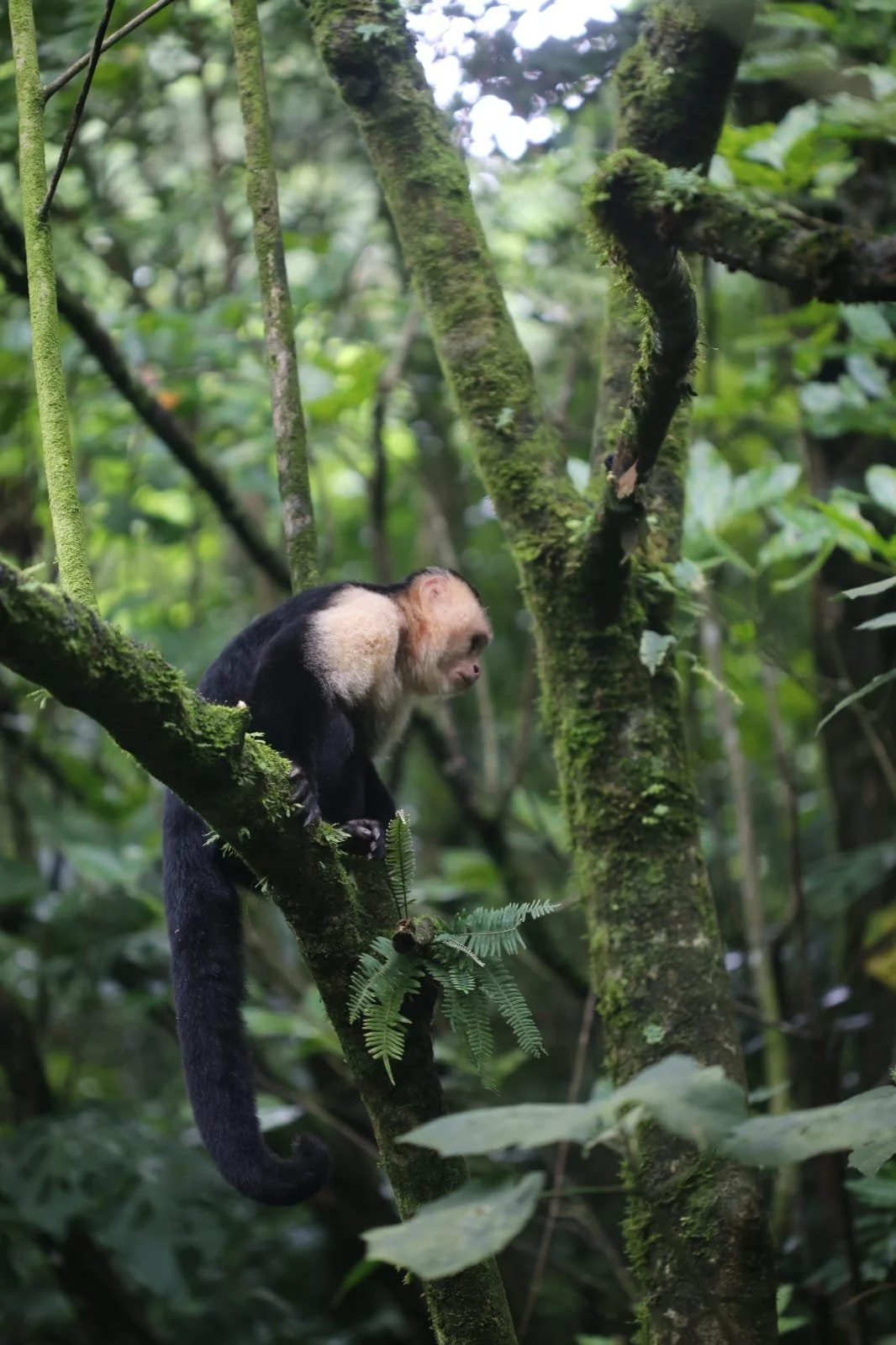 The Best Times Of The Year To Travel To Panama