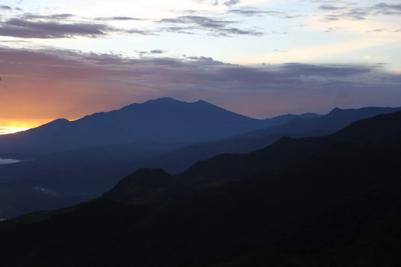 The Panama Hat đź¤