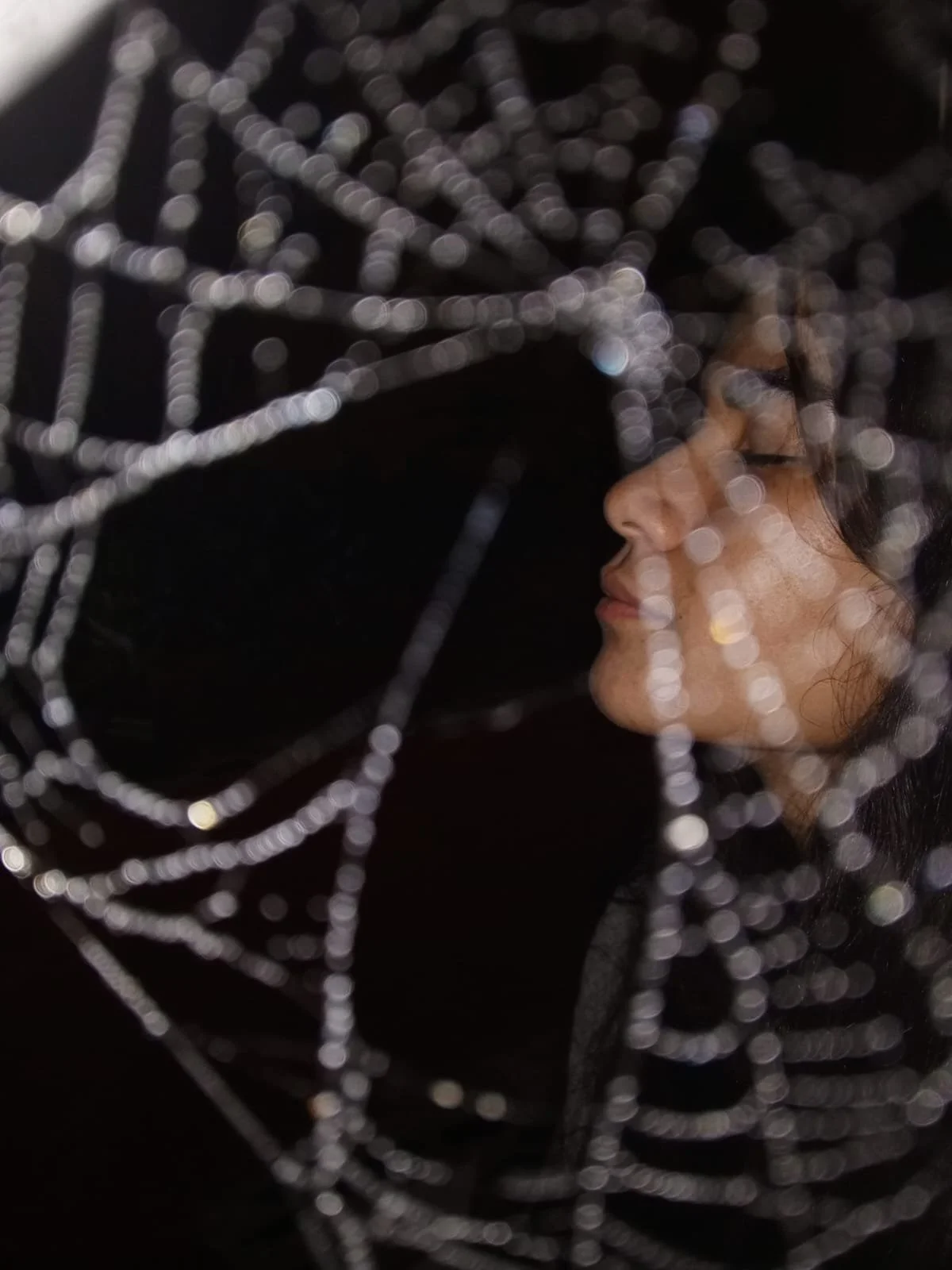 The Lurking Predators: Poisonous Spiders of Panama