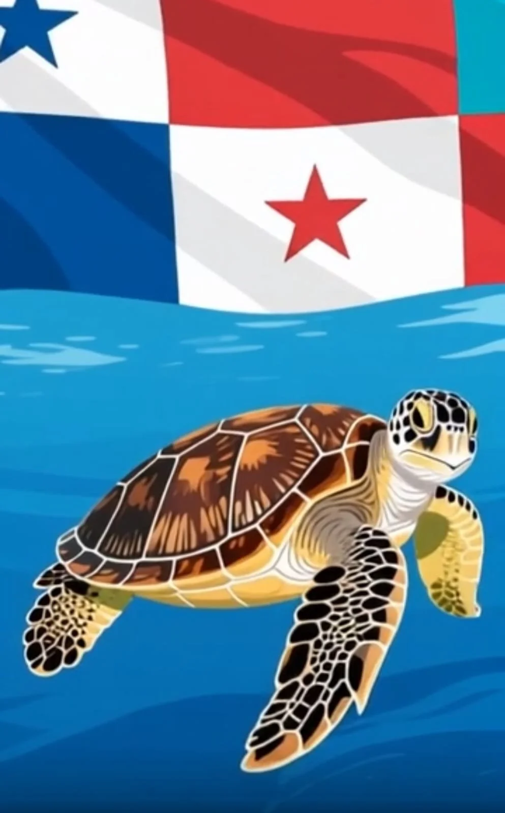 The Sea Turtles Of Panama