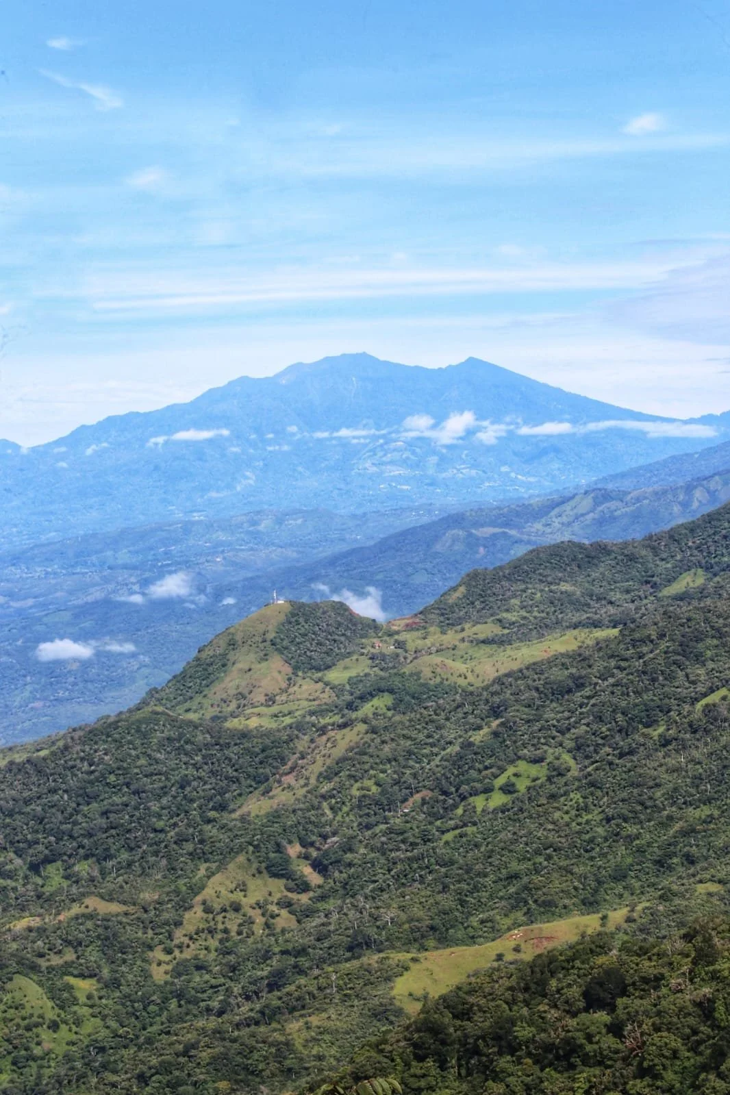 The Excitement And Danger Of Encountering Scorpions In Panama