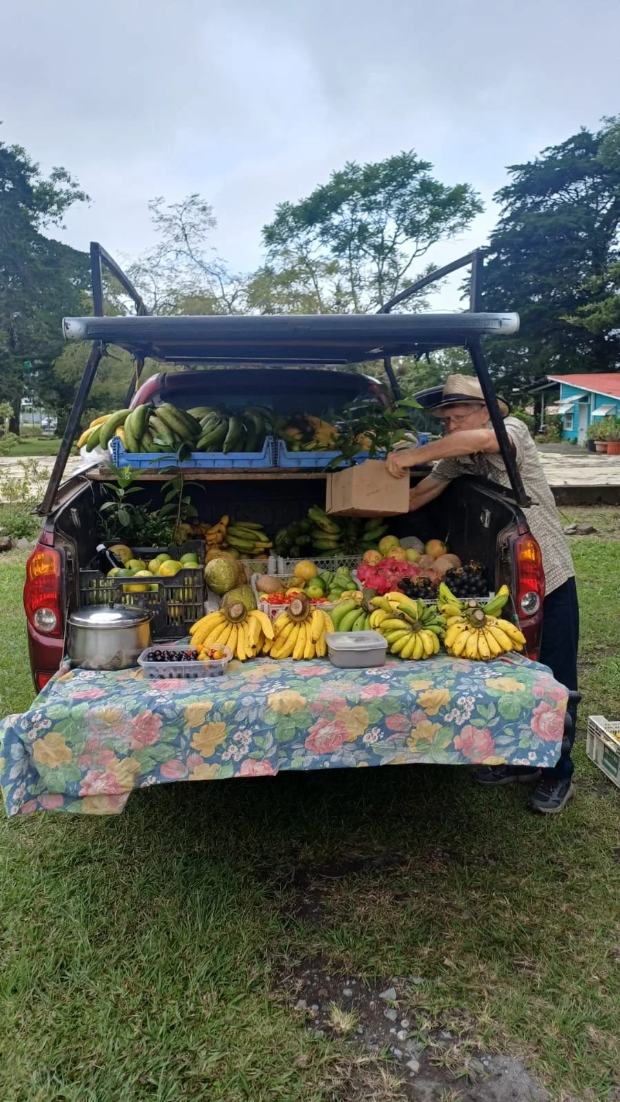 Grocery Shopping In Panama. Everything You Need To Know About Large Supermarkets That Carry Imported Goods And Local Goods