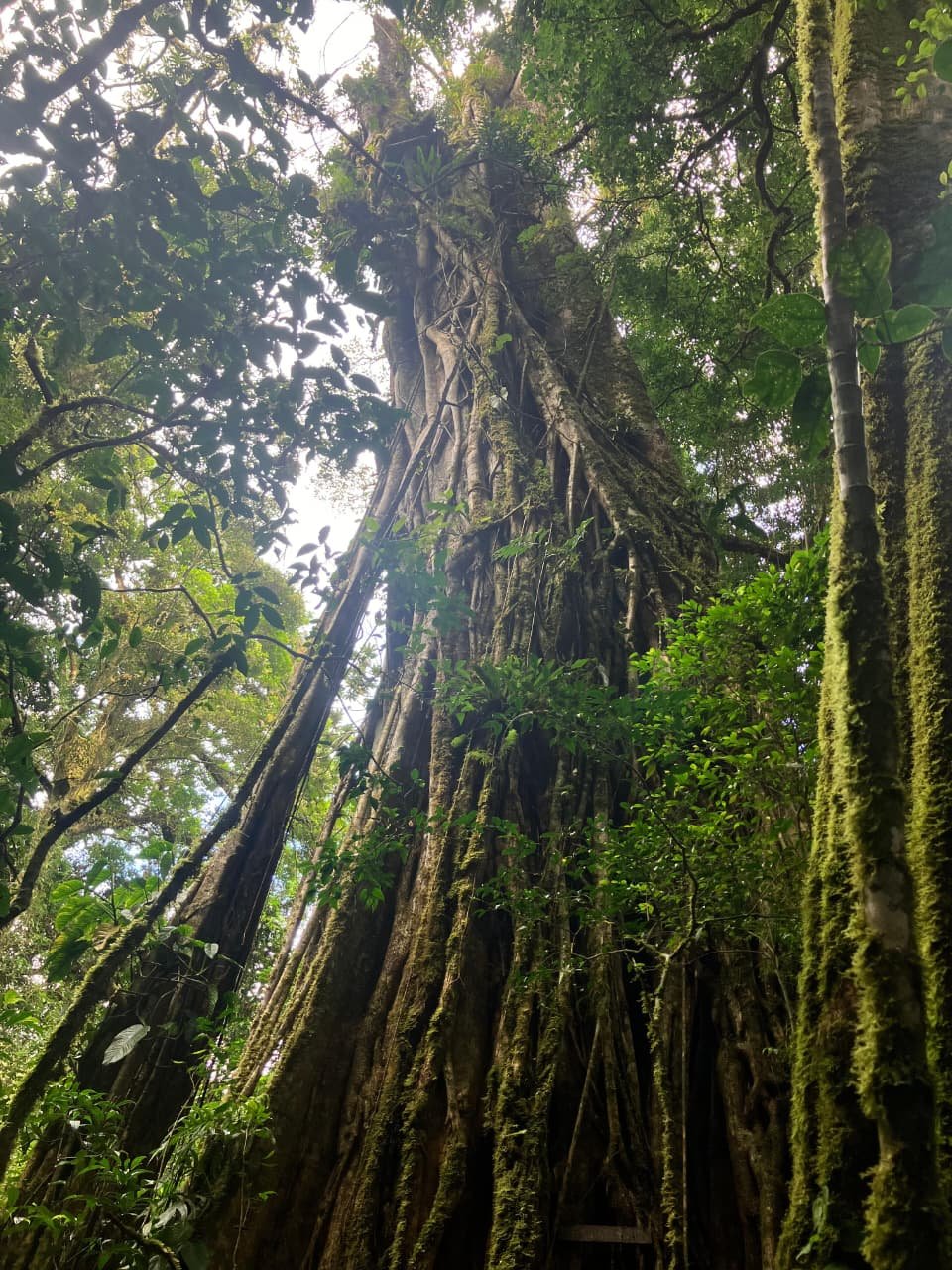 A Slice Of Paradise In Panama