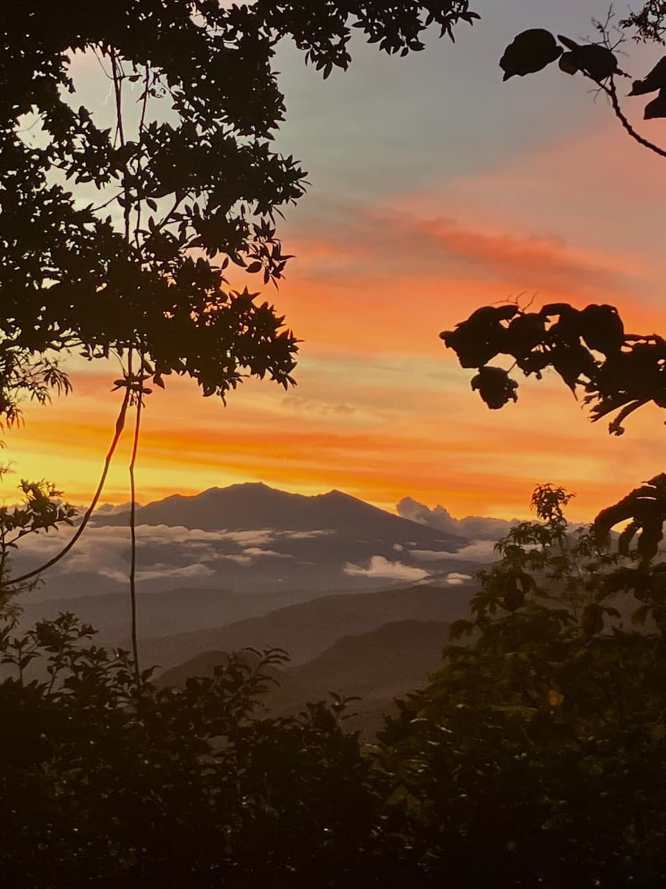 The Underrated Side Of Volcán Baru 