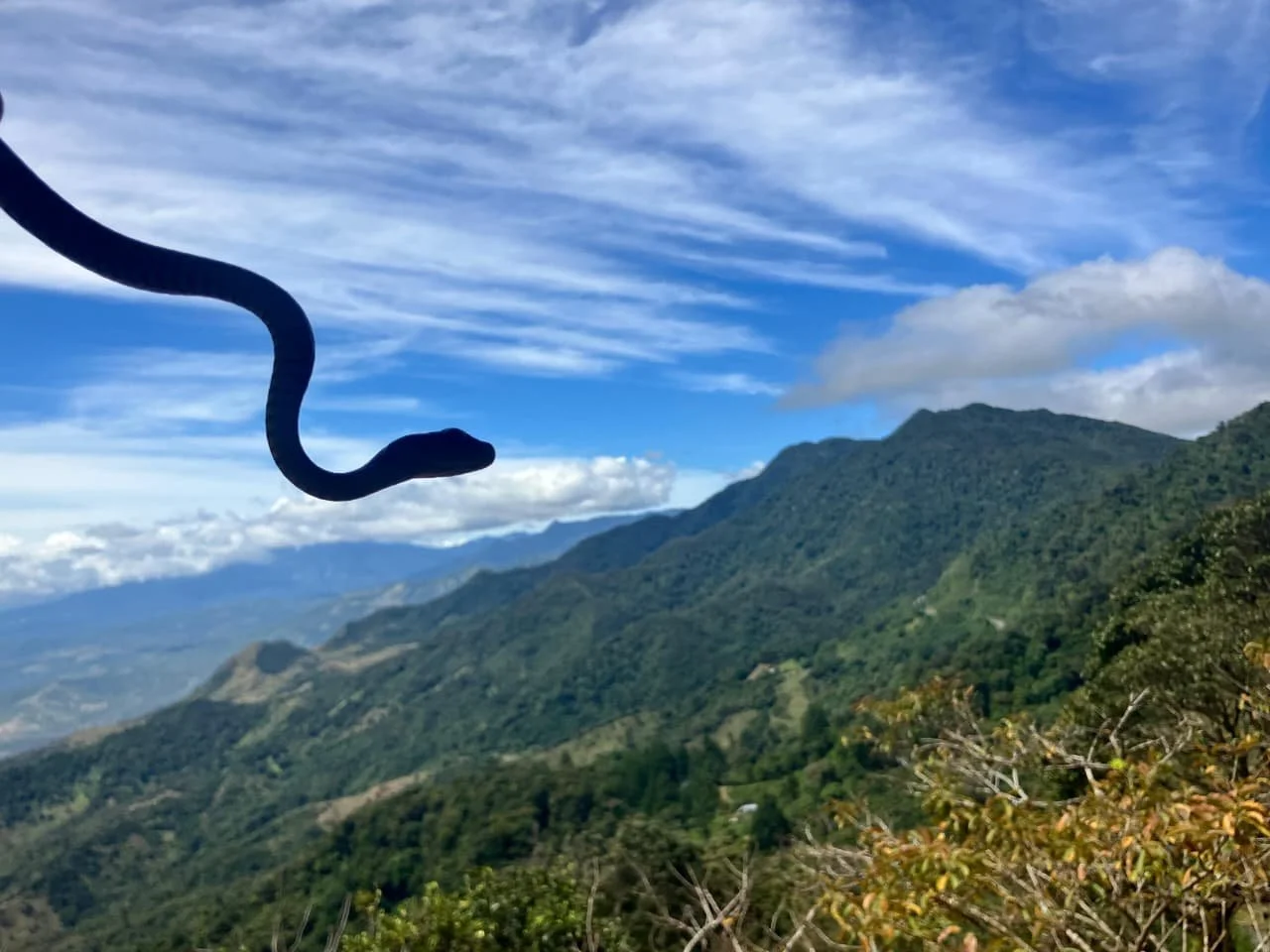 Don't Fall In Love With Reviews