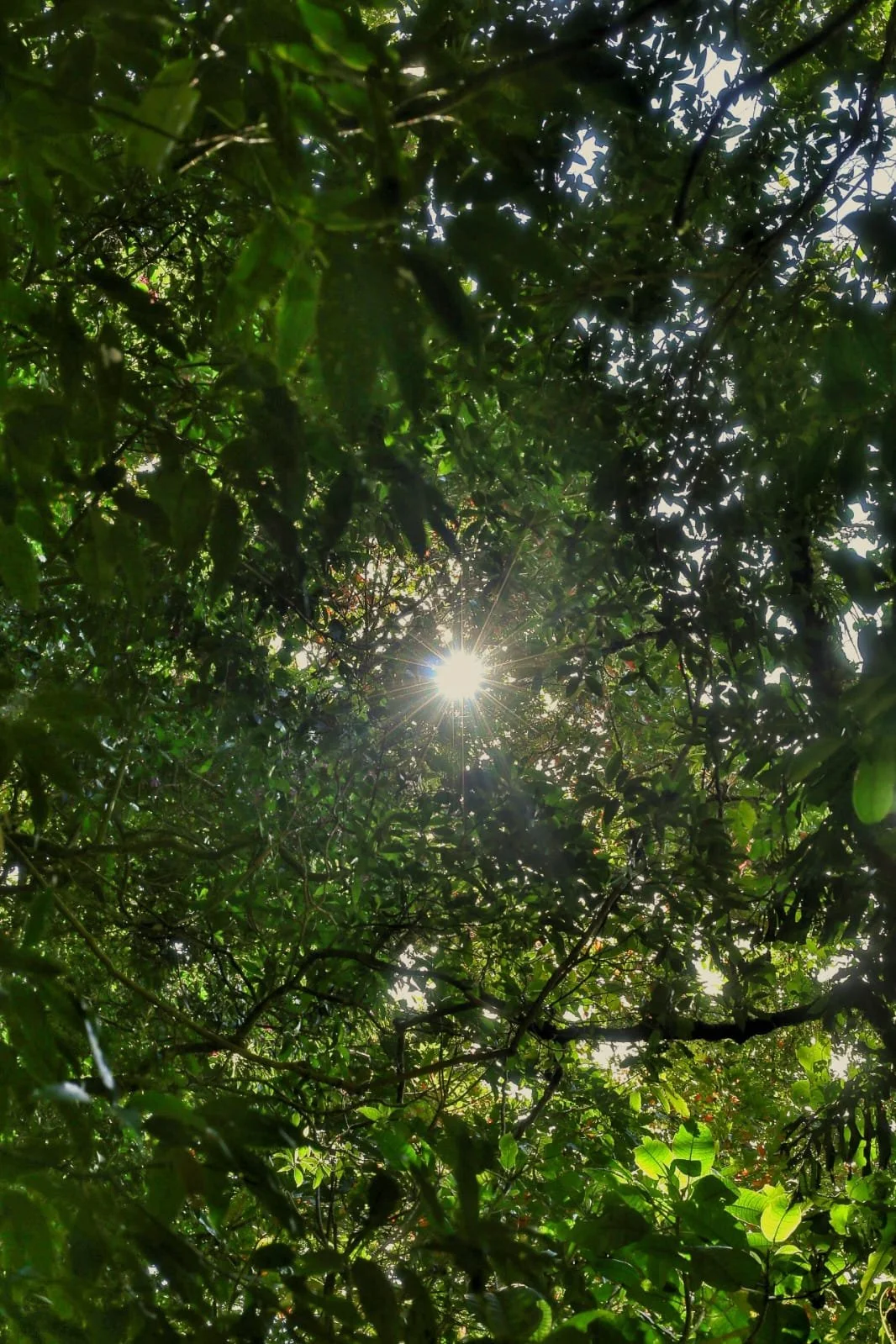 The Protected Areas Of Panama