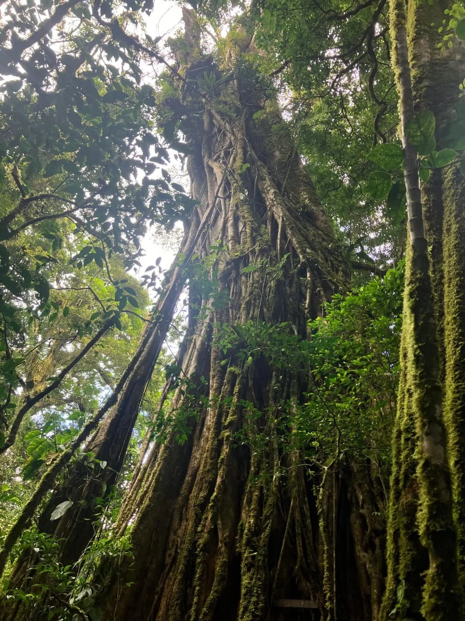 Don't Pack Your Moldy Attitude To Panama