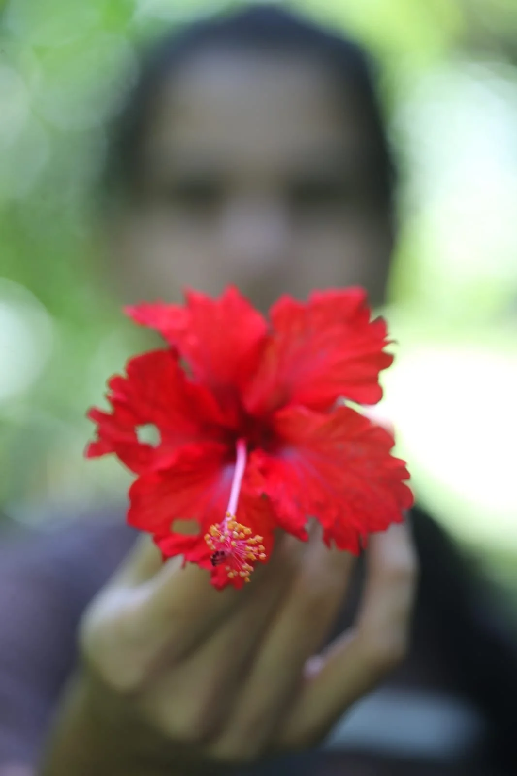 Easter in Panama: Tradition, Atmosphere, and Daily Life