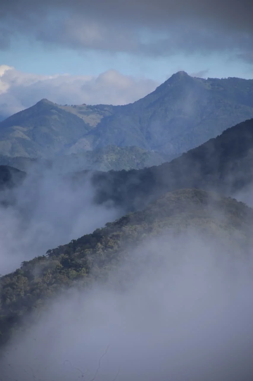 @lostandfoundhostel  Panama's Best Instagram 