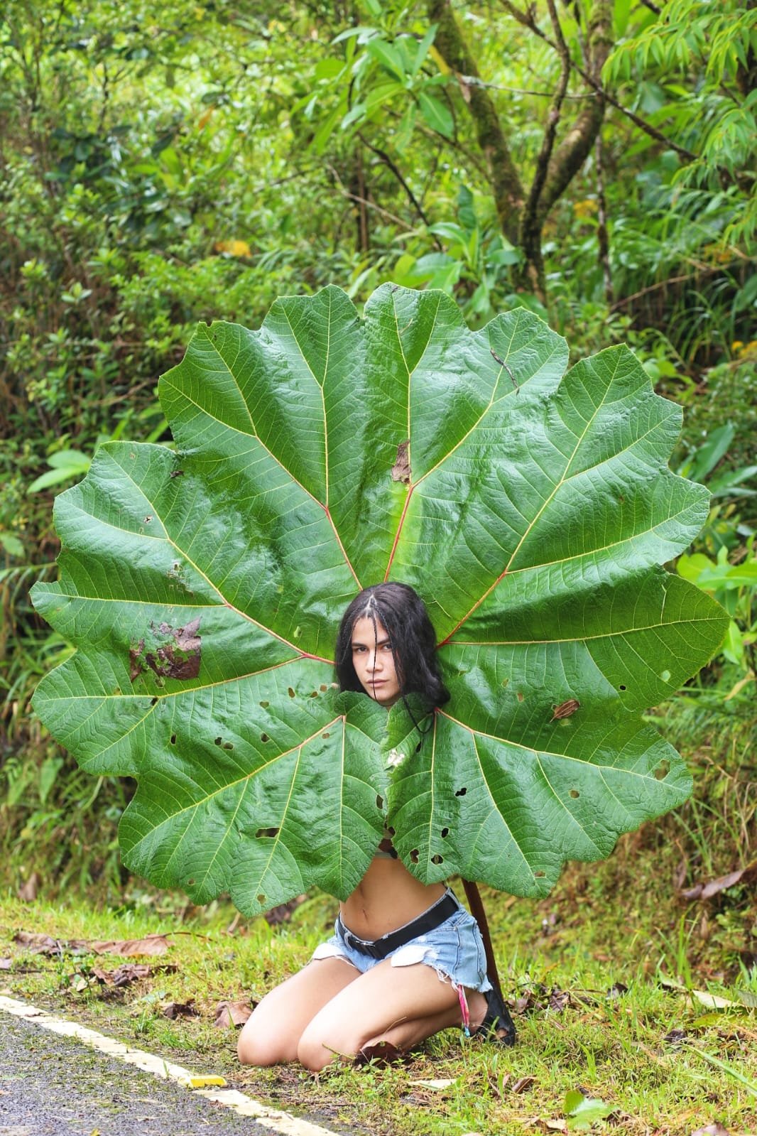 Where Your Money Goes Further in Panama: Coast vs Mountains