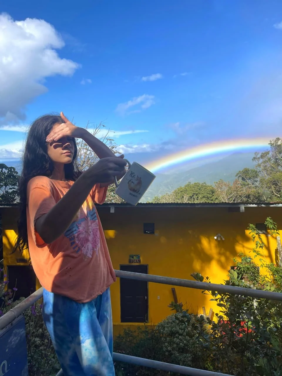 Everything You Need to Know About Staying at Lost and Found Hostel — The Coolest Stop Between Boquete and Bocas