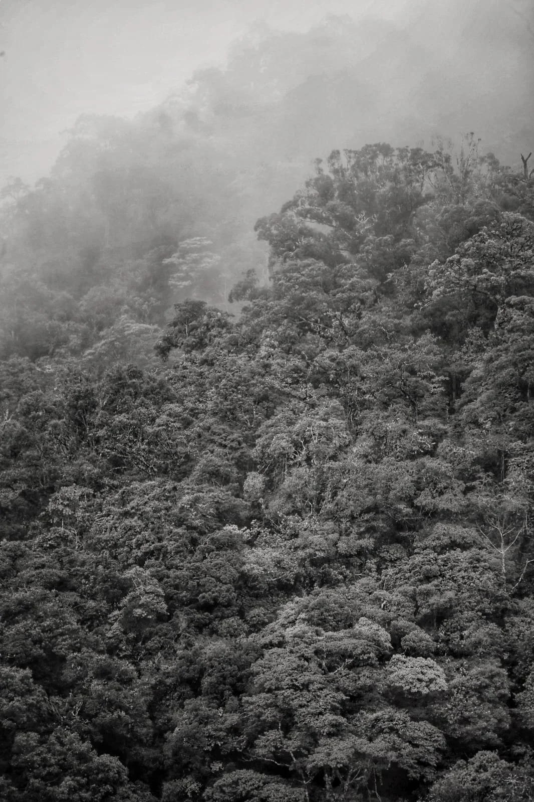 The Ghost of Henry Morgan and the Fall of Panama Viejo