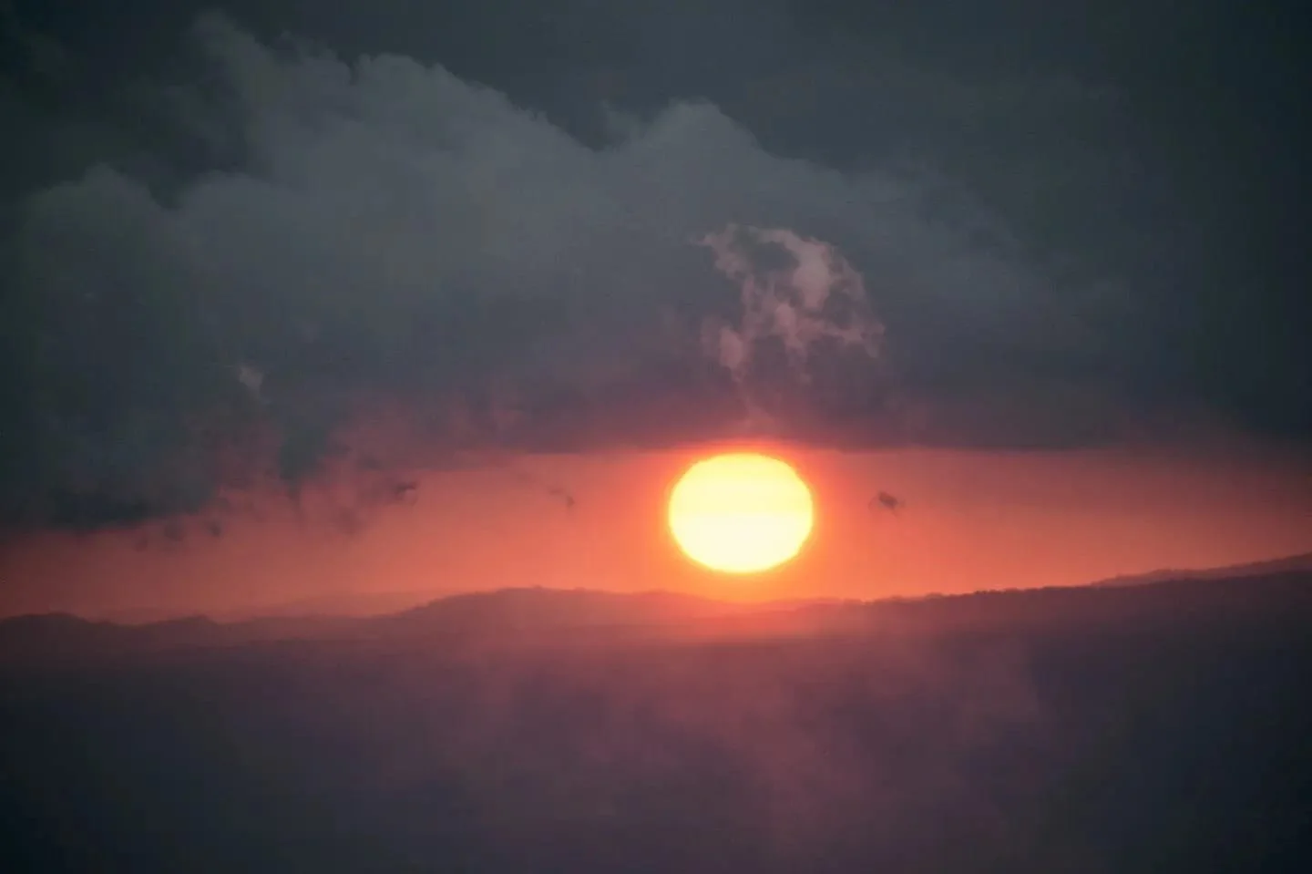 Whale Watching In Panama