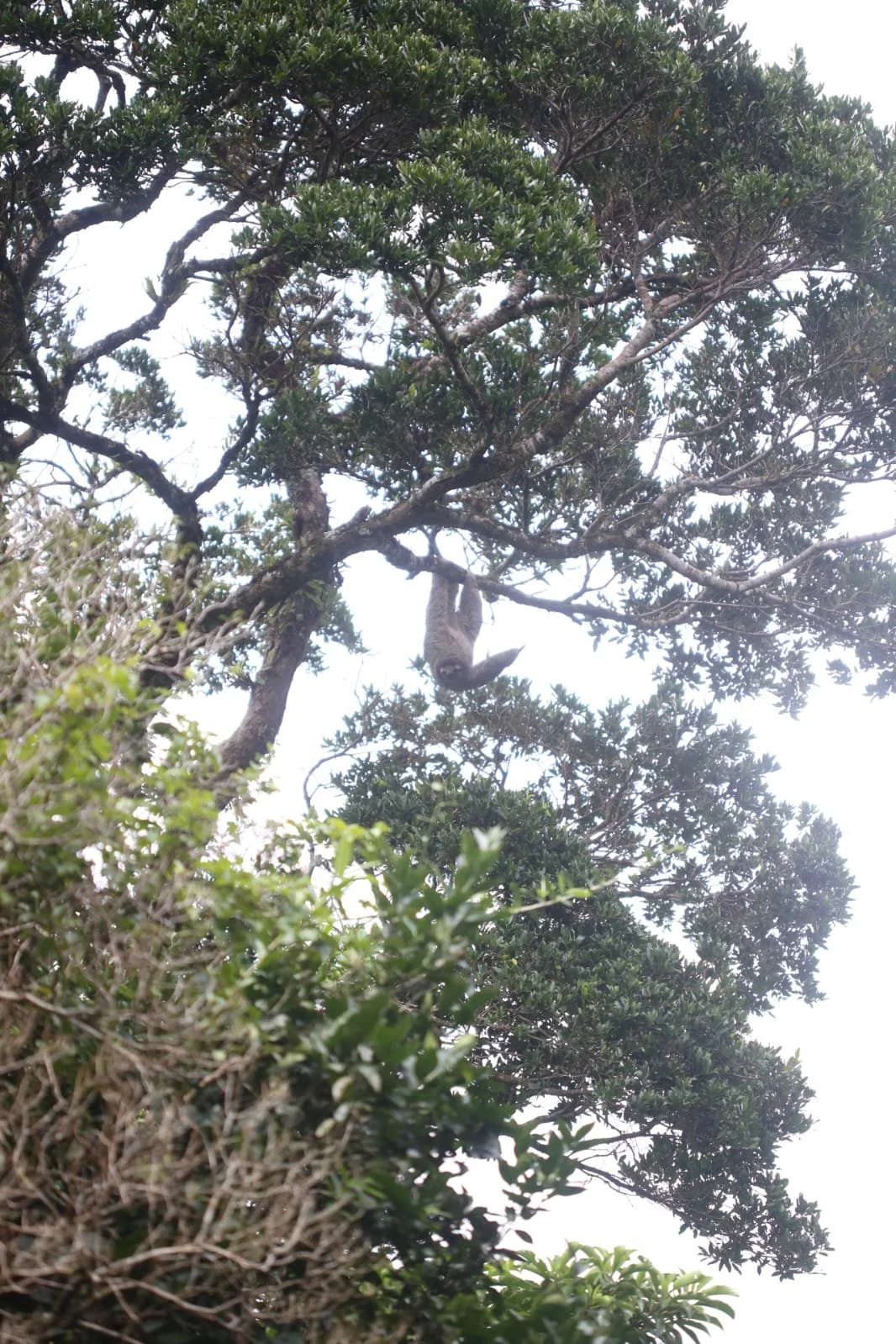 Lost And Found Hostel: Between Bocas And Boquete. A Highlight Stop