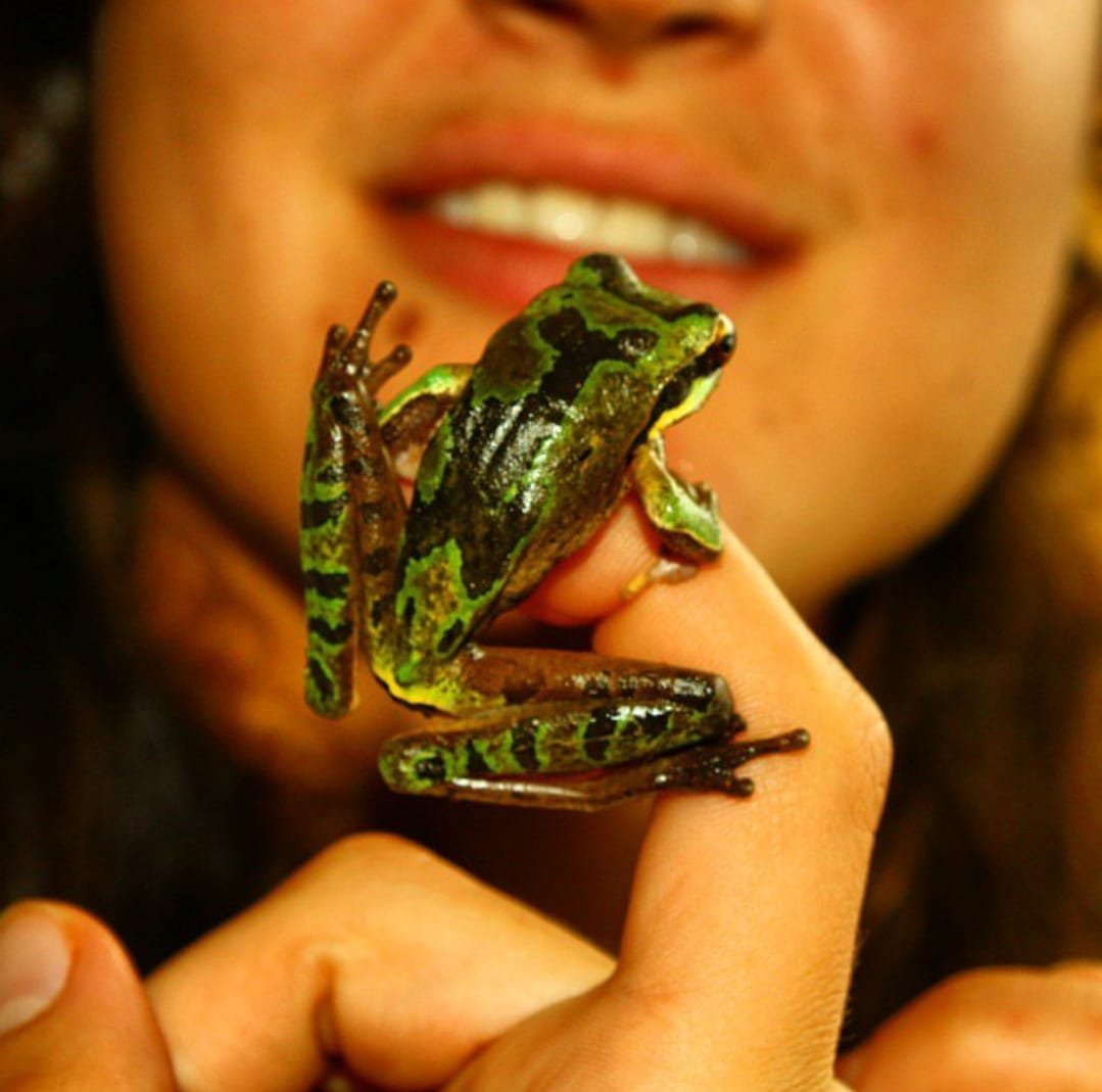 Night skies over Panama’s coasts and highland forest