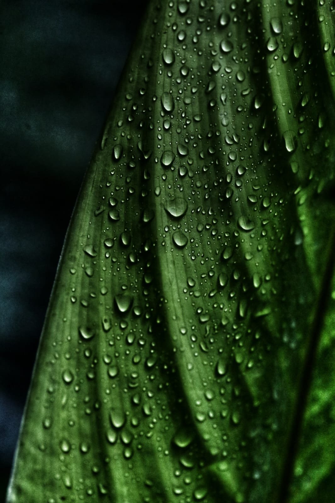 If I Only Had Four Weeks Backpacking Panama — A Route That Covers the Entire Country