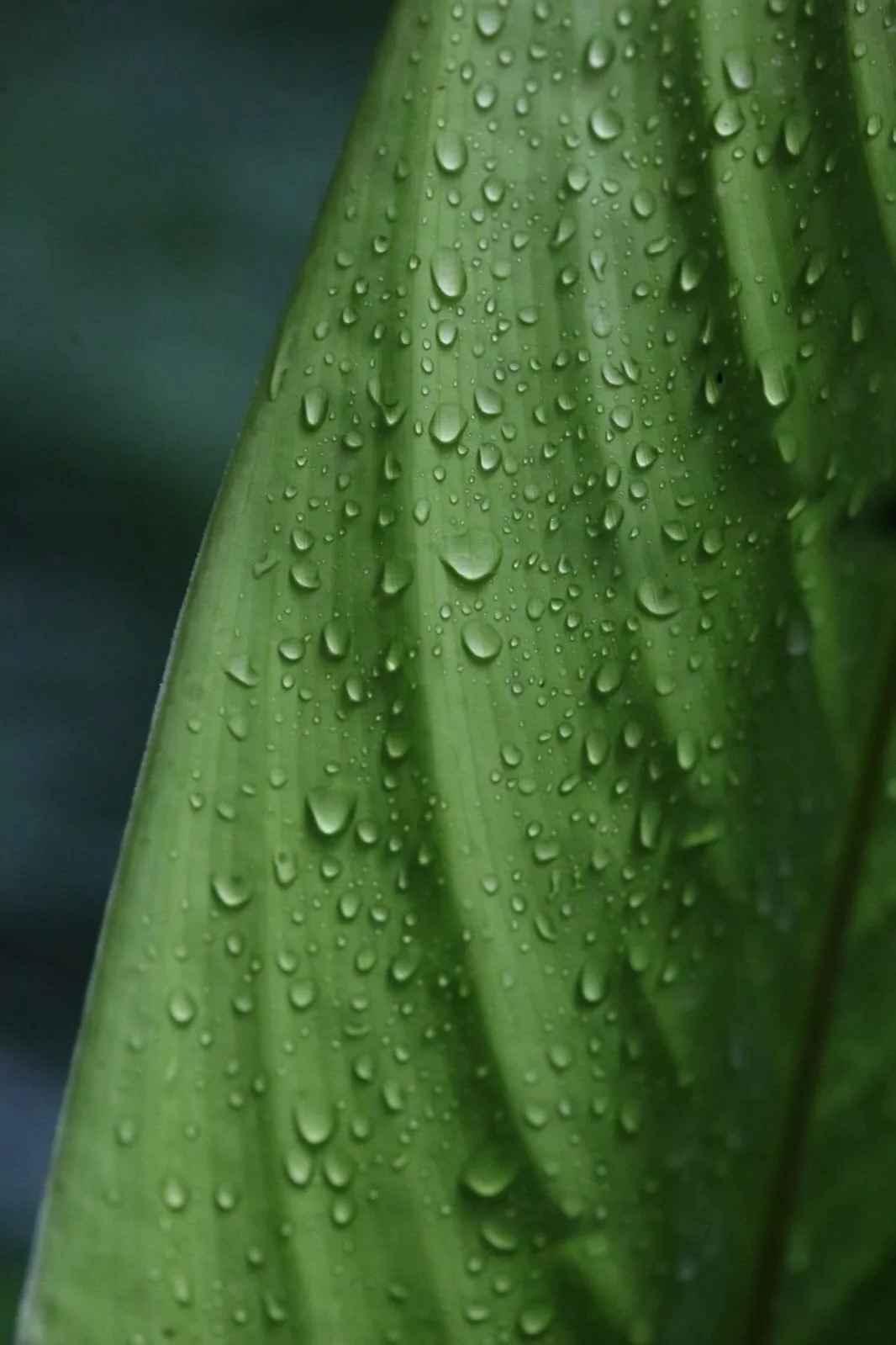 What It’s Really Like to Backpack in Panama — Safety, Scams, and the Reality on the Ground