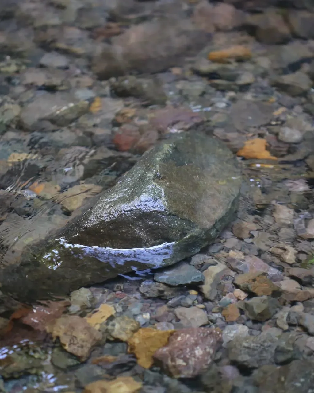 Casco Viejo vs. Panama Viejo: Which Historic Site Should You Visit?