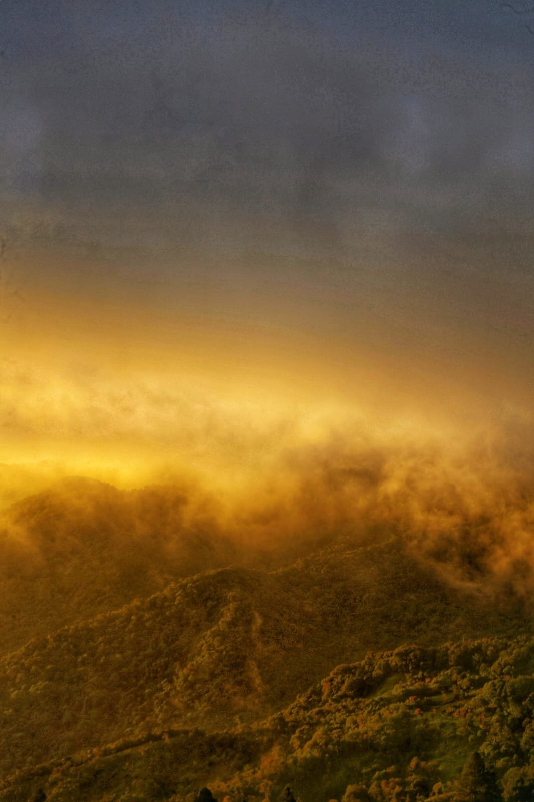 Symphony In The Ditch