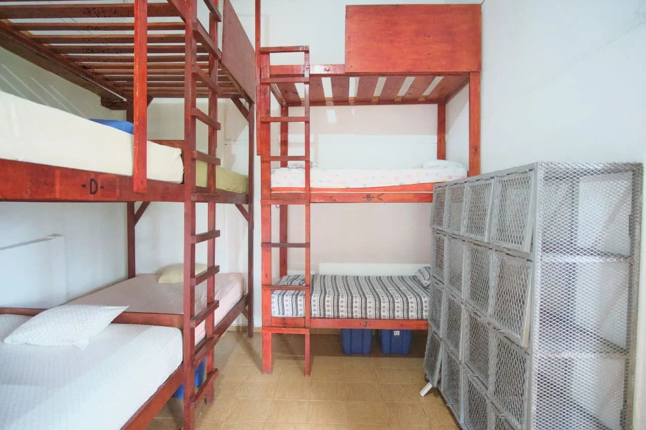 Where the Wild Things Are Cheap: Panama’s Best Budget Bases for Nature-Loving Backpackers