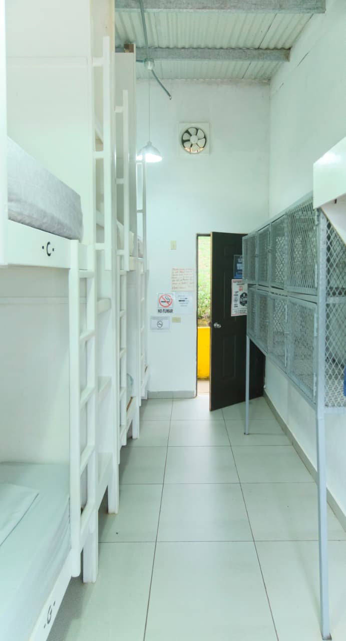 Panama’s Crafty Brews: A Backpacker’s Guide to Panama’s Microbrewery & Craft Beer Hangouts 🍻