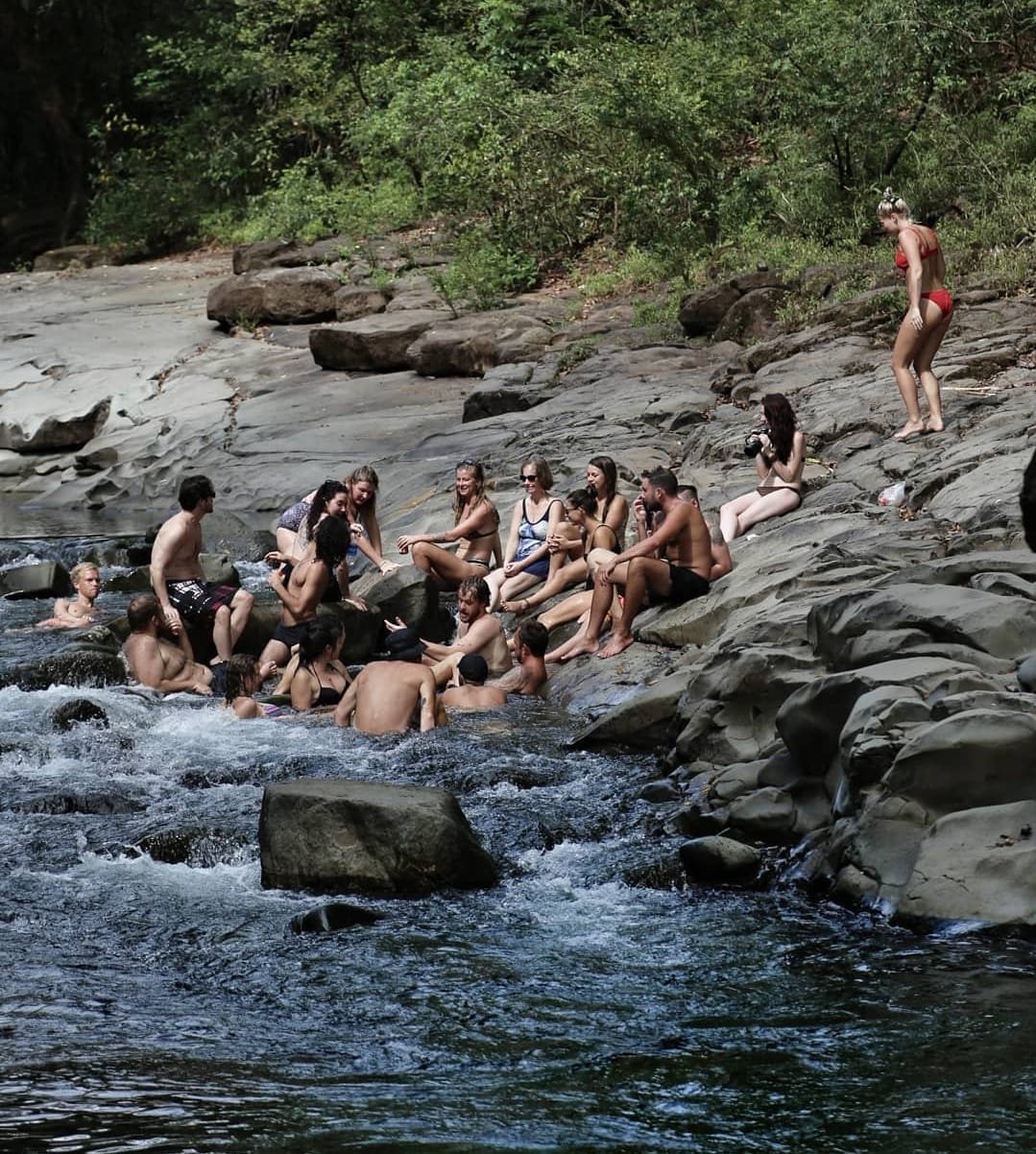 Wildlife Spotting At Panama's Magical Lost and Found Hostel