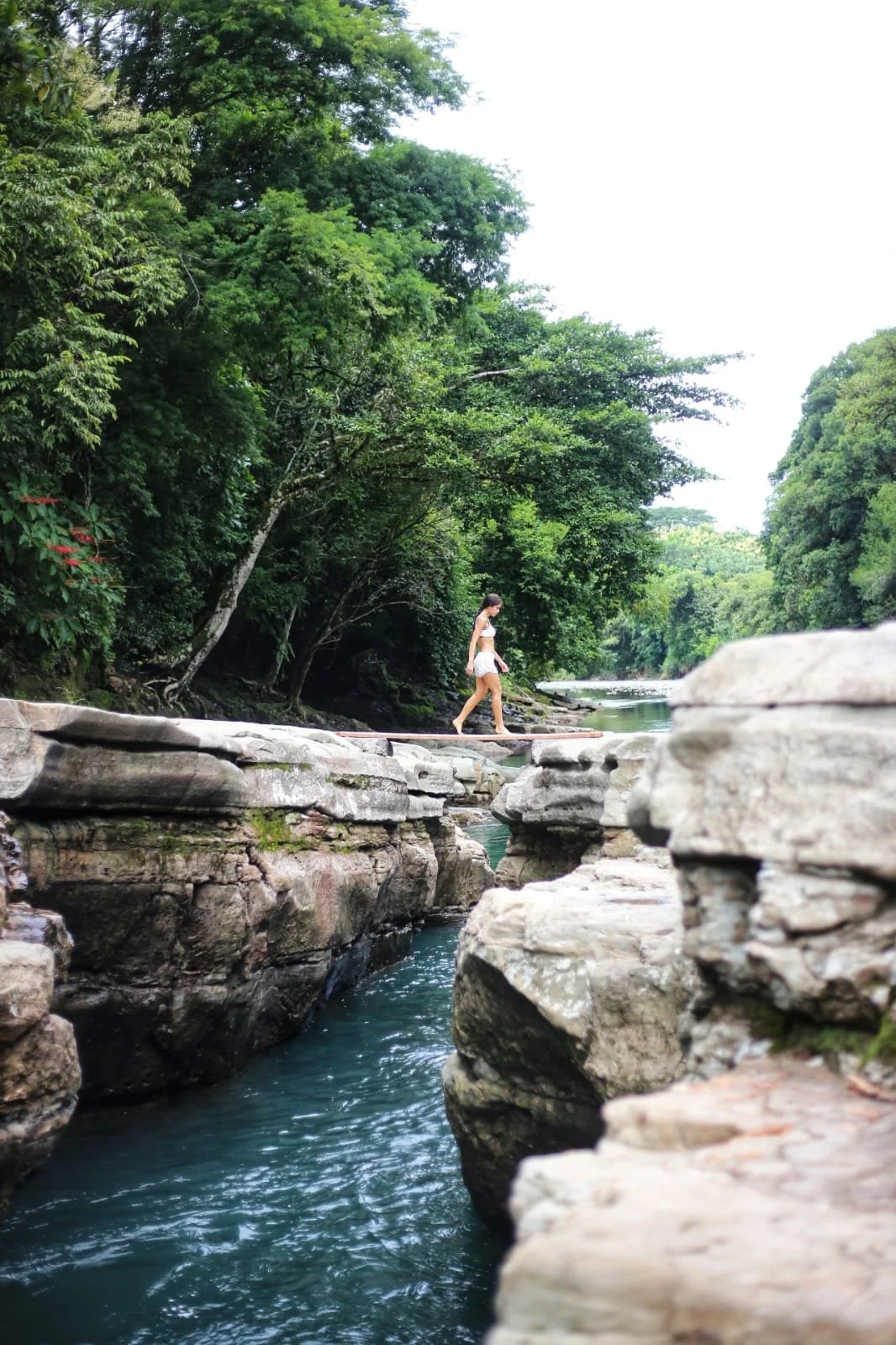 Untamed Pacific: The Ultimate Guide to the Beaches of Chiriquí and the Gulf of Chiriquí, Panama