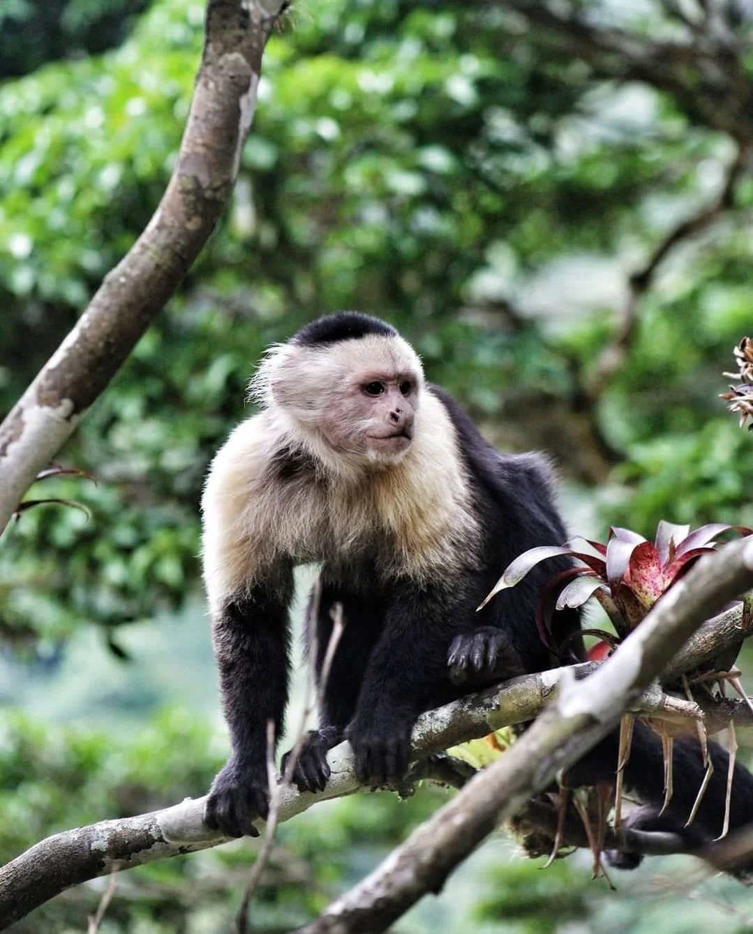 How Not to Argue With Your Travel Partner in Panama: 45 Ways to Protect the Magic