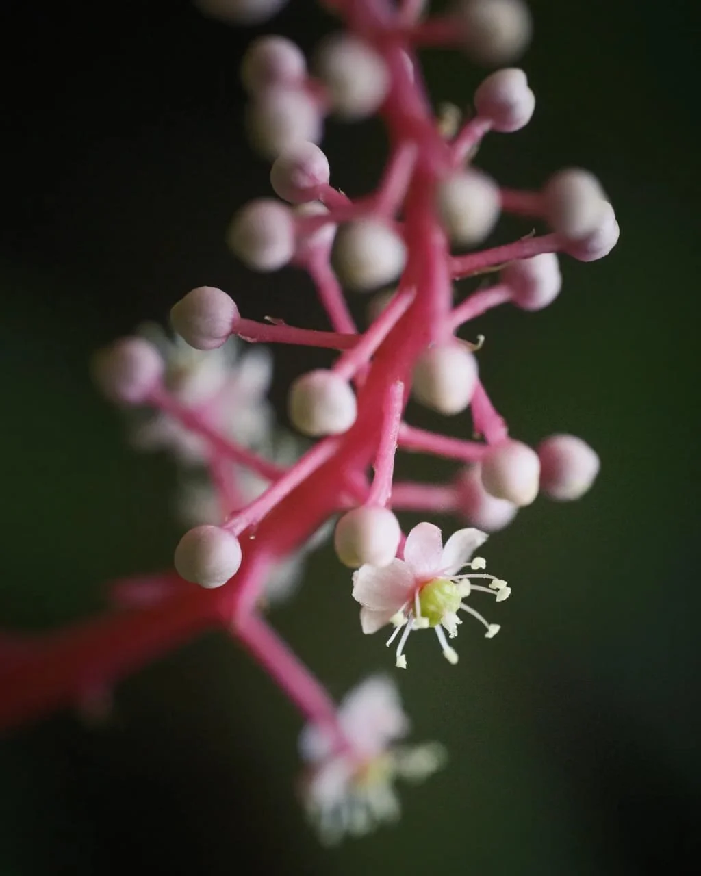 ATM Fees in Panama: How to Avoid Paying Extra (And Keep More Cash for Patacones)