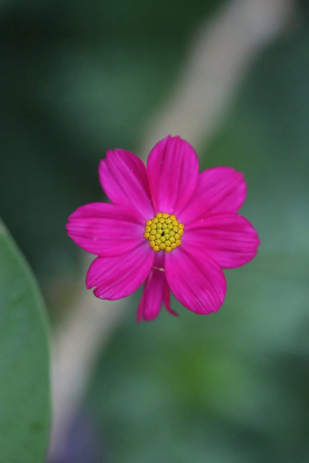 Daily Life in Panama That Visitors Rarely Notice
