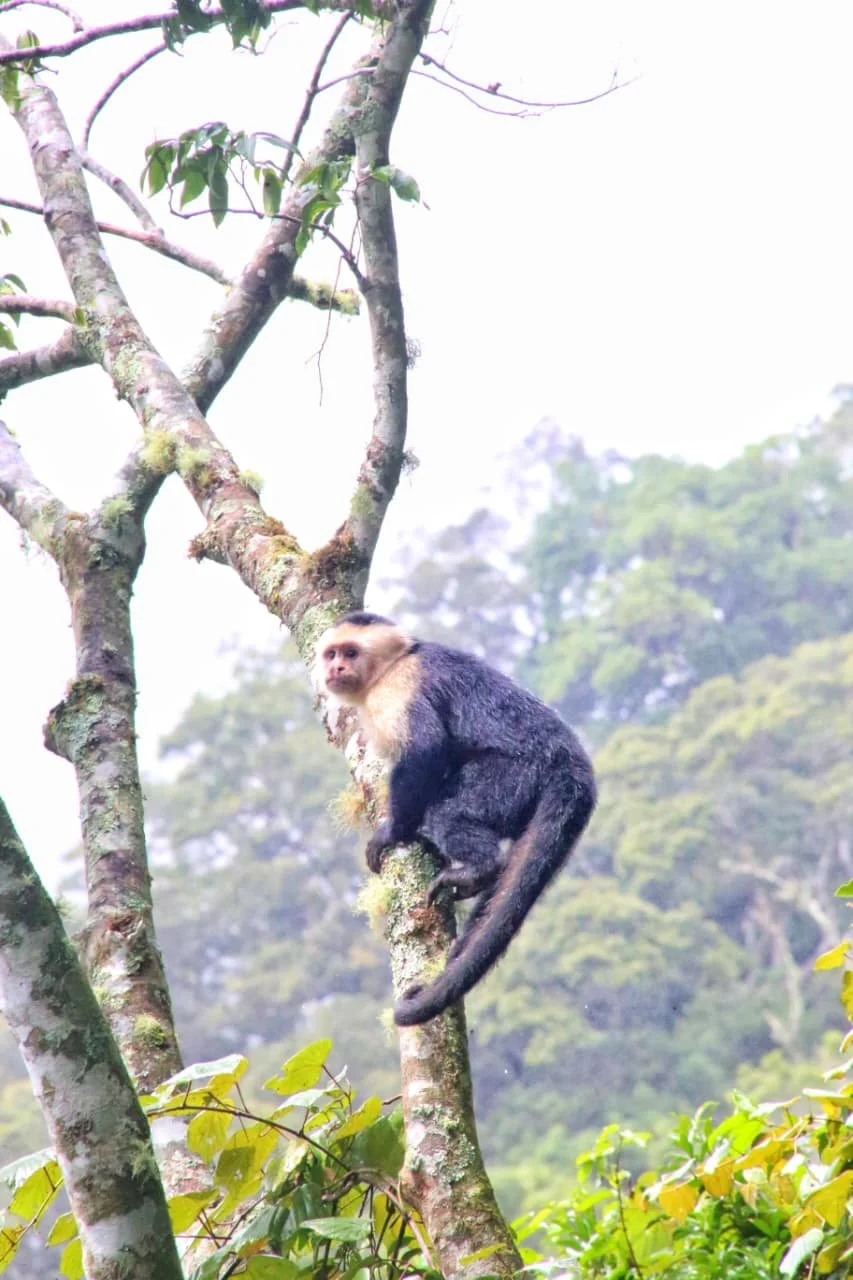 The Most Instagrammable Places in Panama