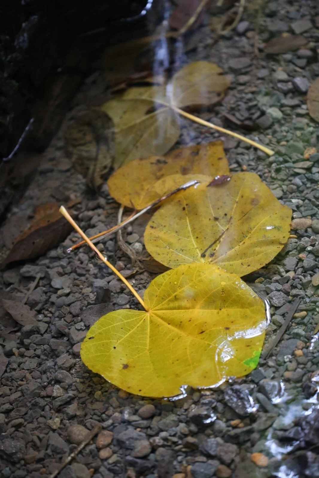 The Most Unpredictable Parts of Traveling Panama