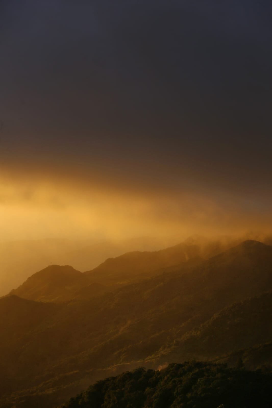 How Panama Became a Bridge for Animals Between Two Continents