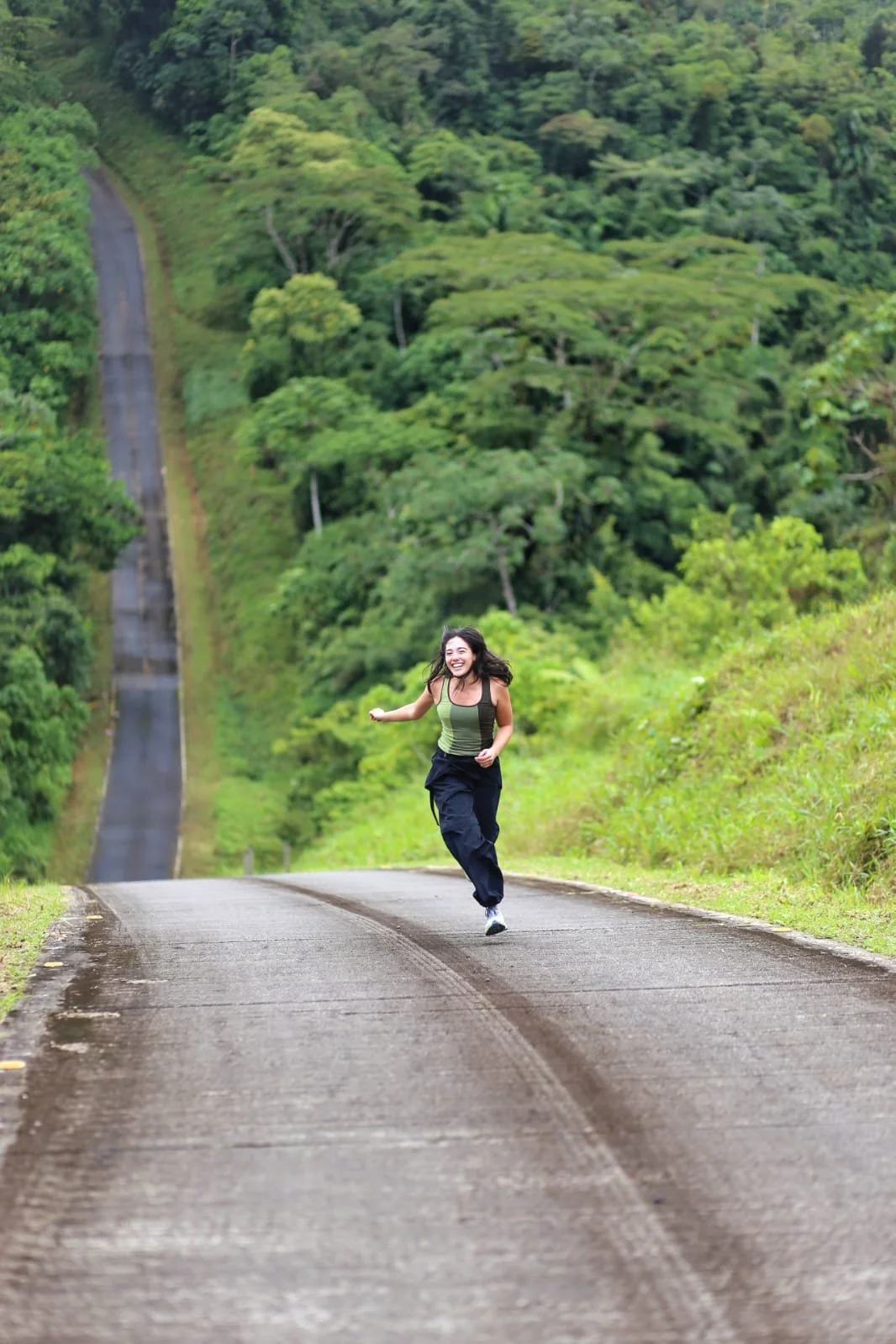 Animals You Can Encounter in Panama’s Cloud Forests (And Where to Find These Magical Forests)