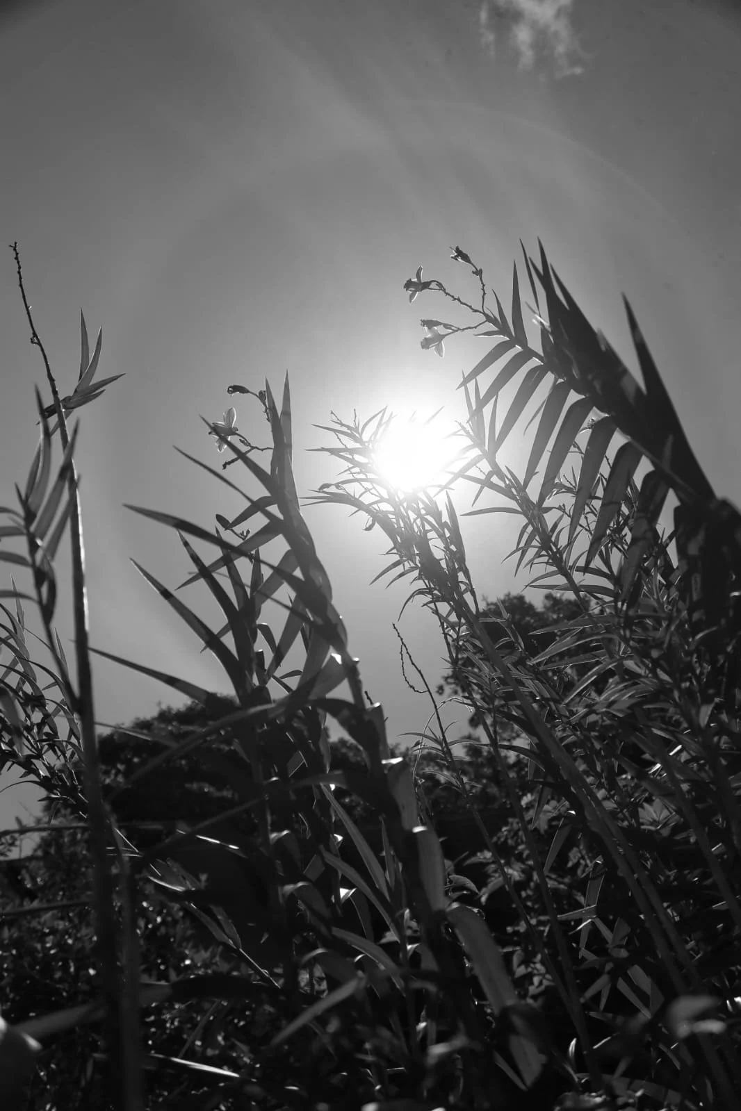 Are Airbnbs in Panama Affordable? Comparing Vacation Rentals and Hotels